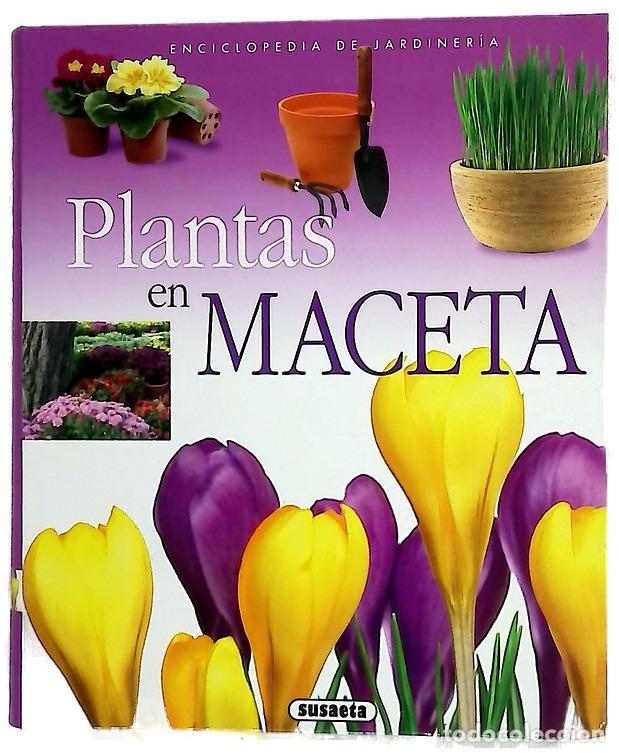 Libri di seconda mano: Plantas en maceta - Echag&uuml;e, Jorge