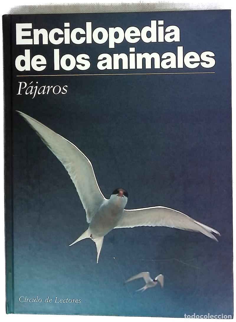 Livros em segunda m&atilde;o: Enciclopedia de los animales: P&aacute;jaros