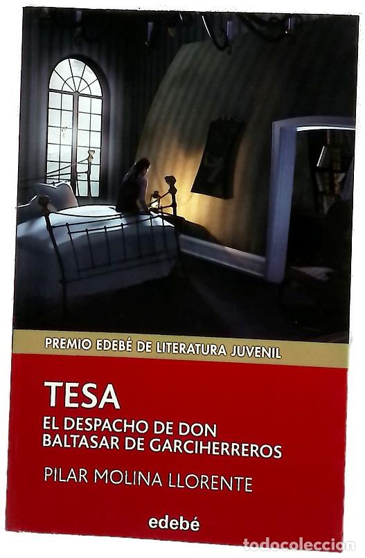 Libros: Tesa : el despacho de Don Baltasar de Garciherreros
