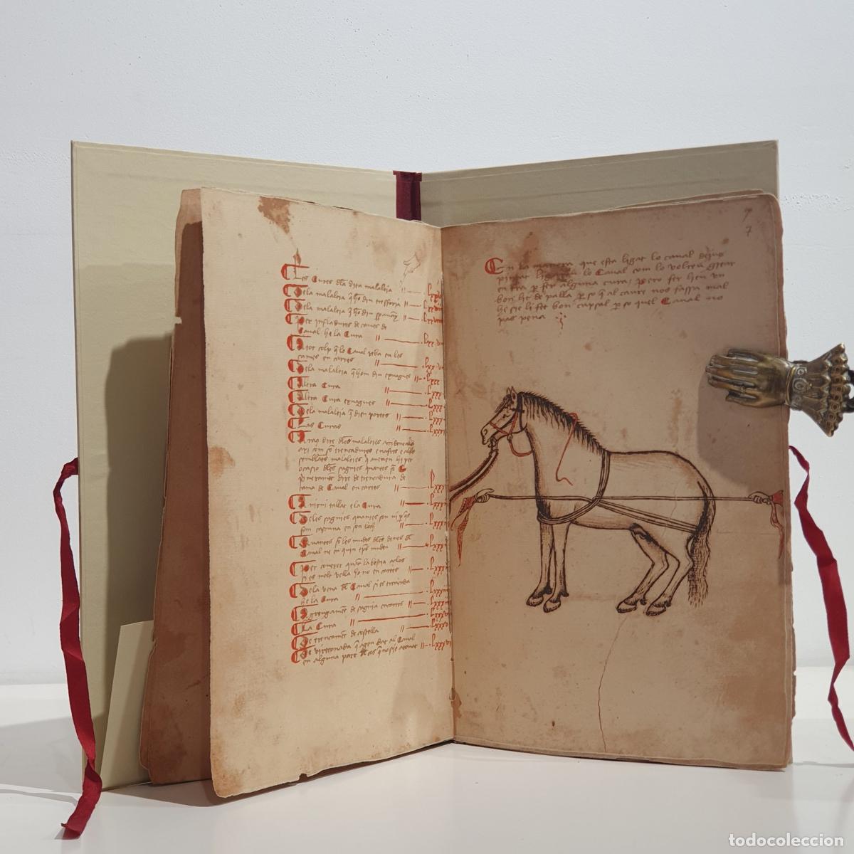 Livros em segunda m&atilde;o: Libro de Albeyteria. El texto fundacional de la veterinaria equina en la pen&iacute;nsula ib&eacute;rica 1424-1436