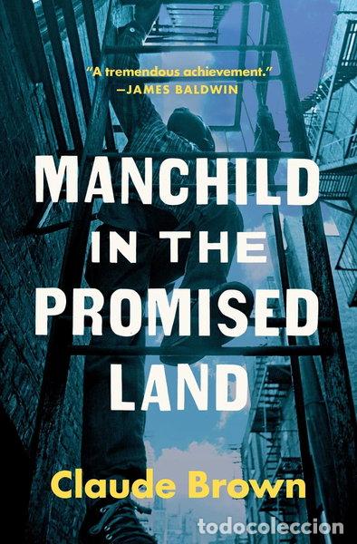 Libros: Manchild in the Promised Land- 9781451631579