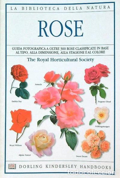 books: Rose (9788889180358)