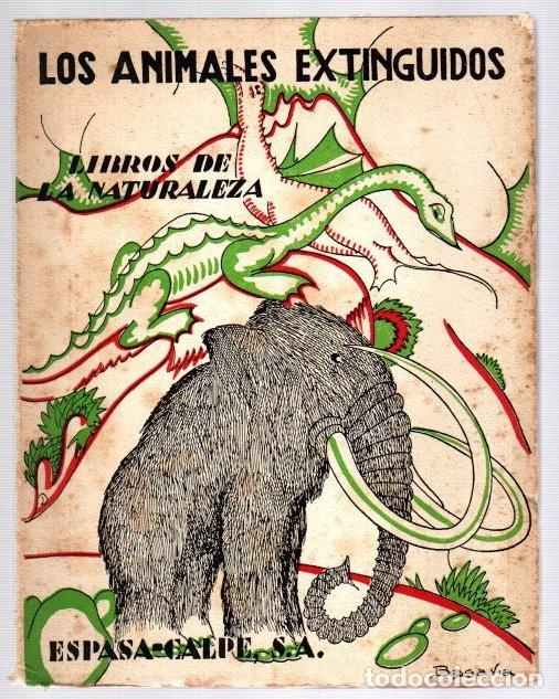 Livres: Los animales extinguidos. Libros de la naturaleza - NO CONSTA AUTOR