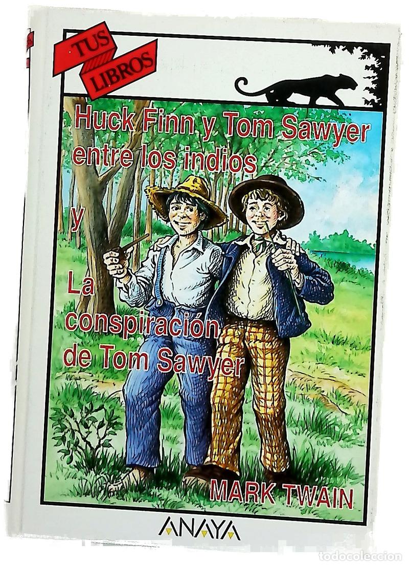 Libros: Huck Finn y Tom Sawyer entre los indios y La conspiraci&oacute;n de Tom Sawyer