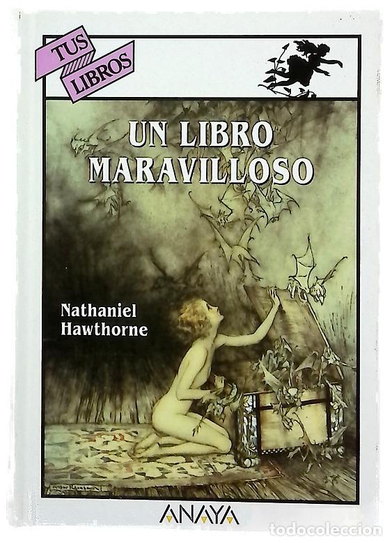 Libros: Un libro maravilloso - Hawthorne, Nathaniel
