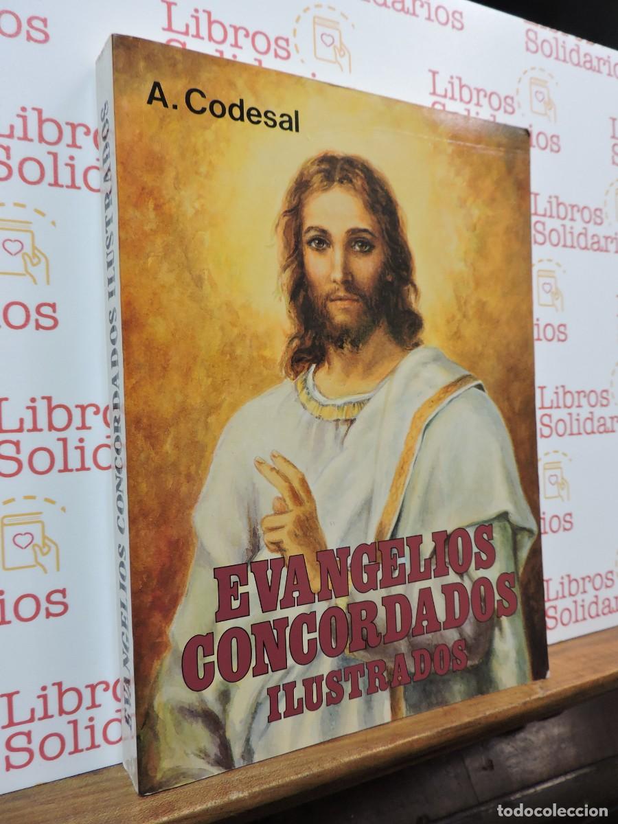 Libros: Evangelios Concordados Ilustrados. CODESAL MART&Iacute;N. Ed. Apostolado Mariano.