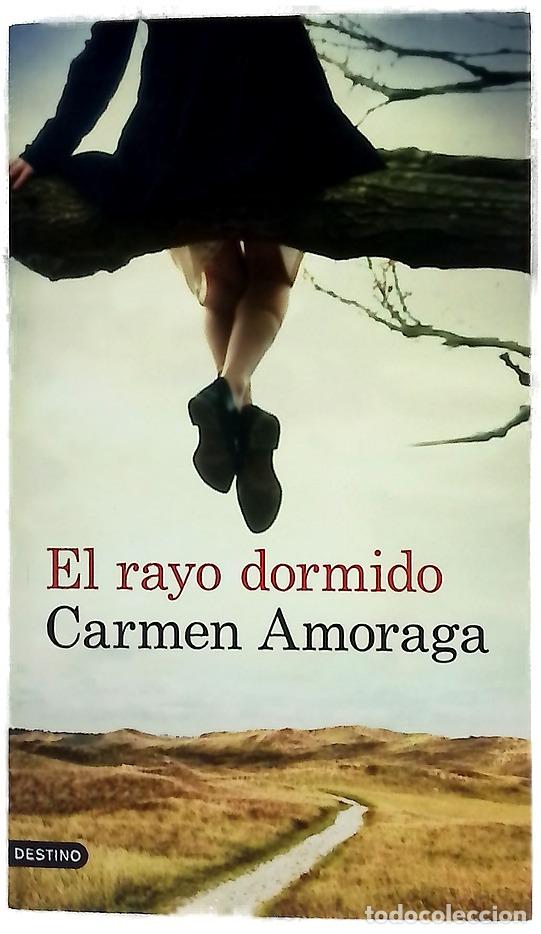 Libros: El rayo dormido - Amoraga, Carmen