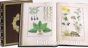 Libros: LIBRO DE LOS MEDICAMENTOS SIMPLES. Cuyo original se custodia en la Biblioteca Nacional de Rusia en S