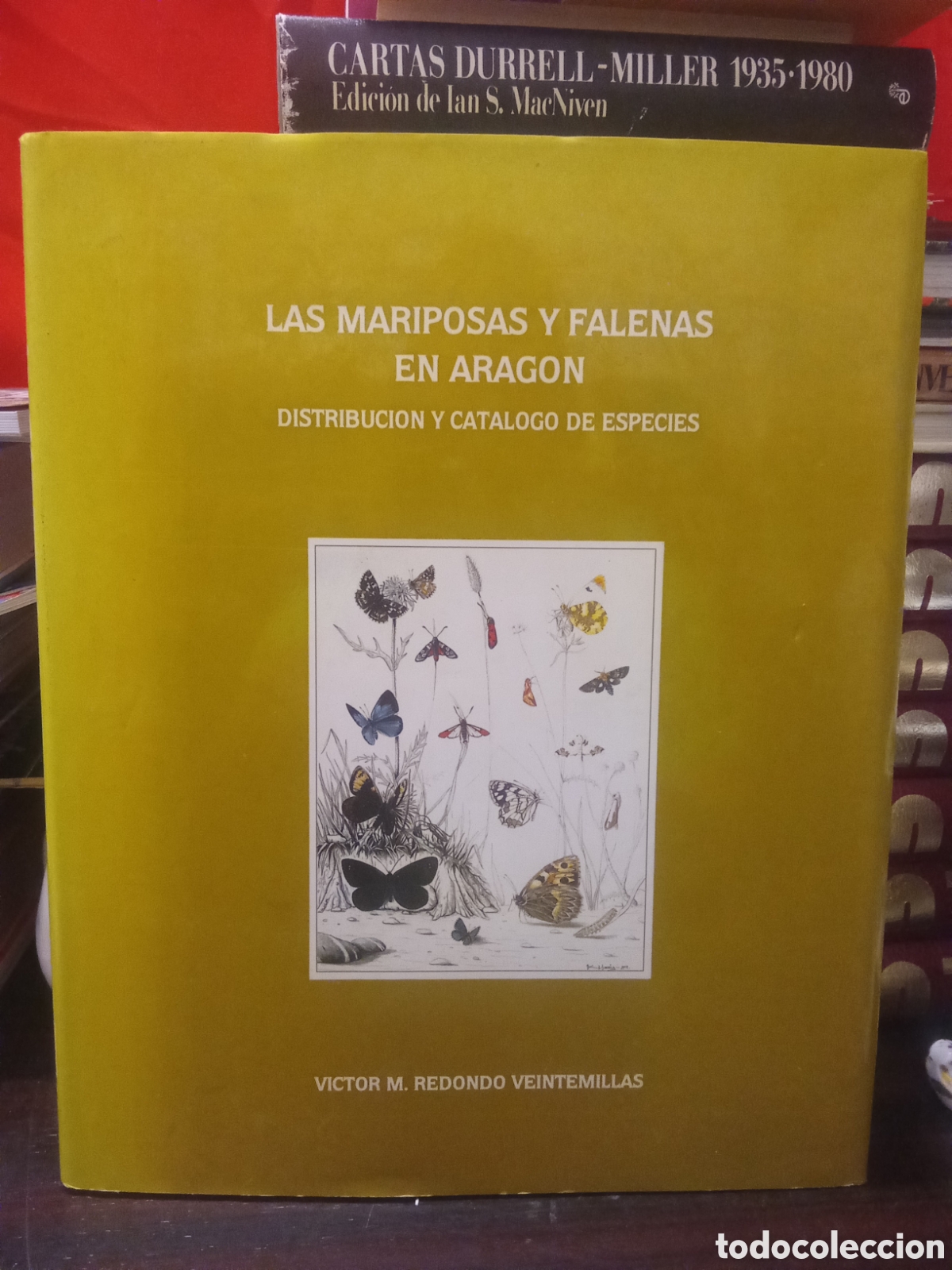 Libros: LAS MARIPOSAS Y FALENAS EN ARAG&Oacute;N - DISTRIBUCI&Oacute;N Y CAT&Aacute;LOGO DE ESPECIES