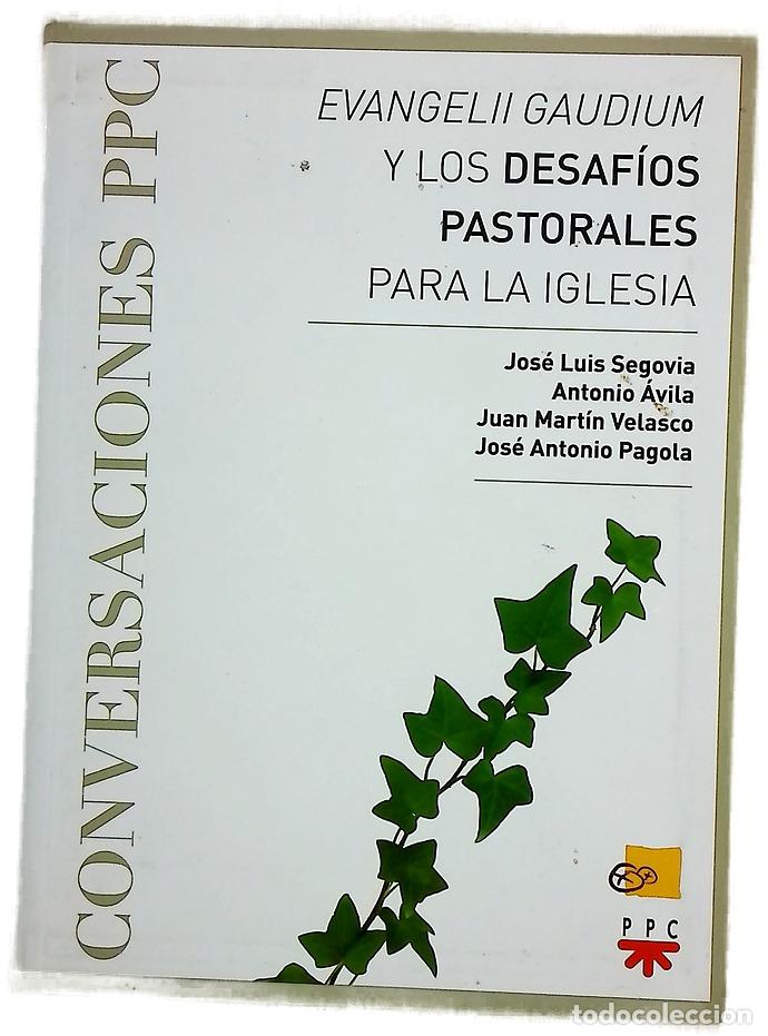 Libros: &rdquo;Evangelii Gaudium&rdquo; y los desaf&iacute;os pastorales para la Iglesia