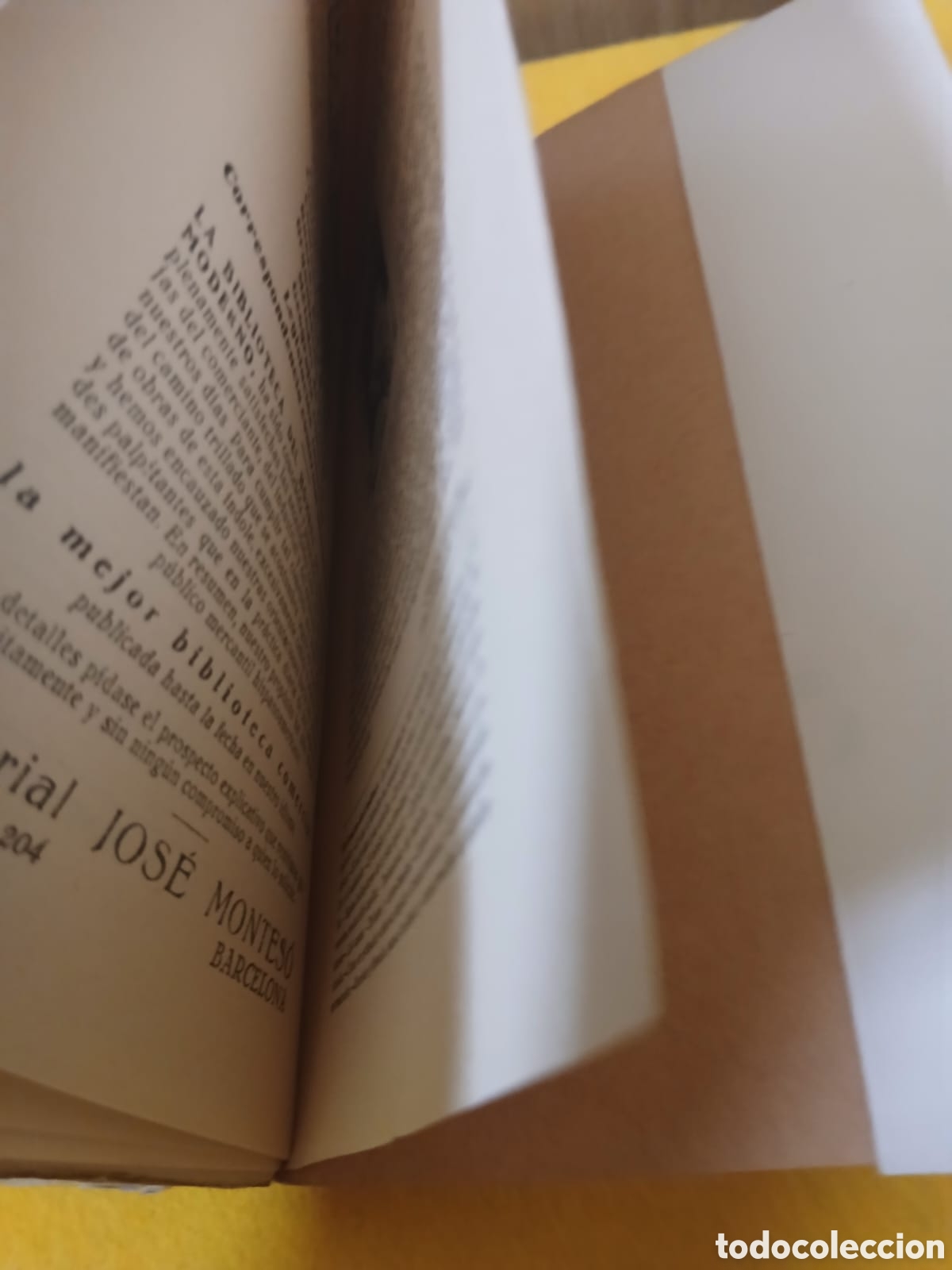 Libros: En persecuci&oacute;n del sol de Nueva York a Hait&iacute;. - Foto 9