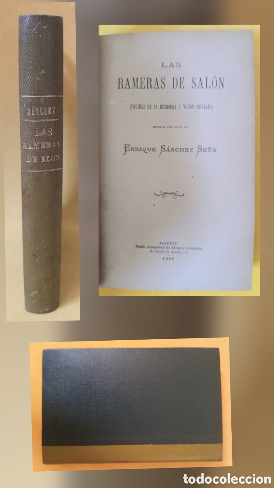 Libros: LAS RAMERAS DE SAL&Oacute;N (PAGINAS DE LA DESHONRA Y VICIOS SOCIALES)