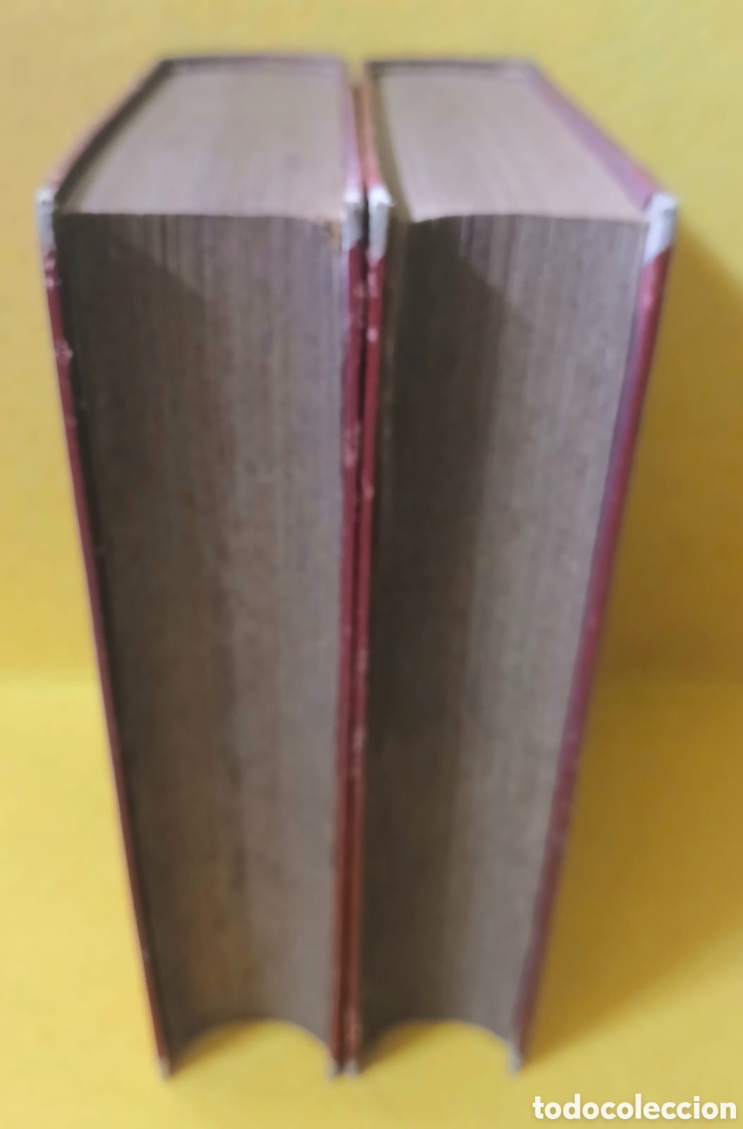 Libros: Las cadenas del pan o la hija del obrero. - Foto 13