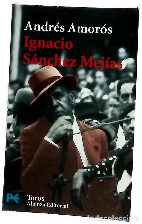 Libros: Ignacio S&aacute;nchez Mej&iacute;as - Amor&oacute;s, Andr&eacute;s