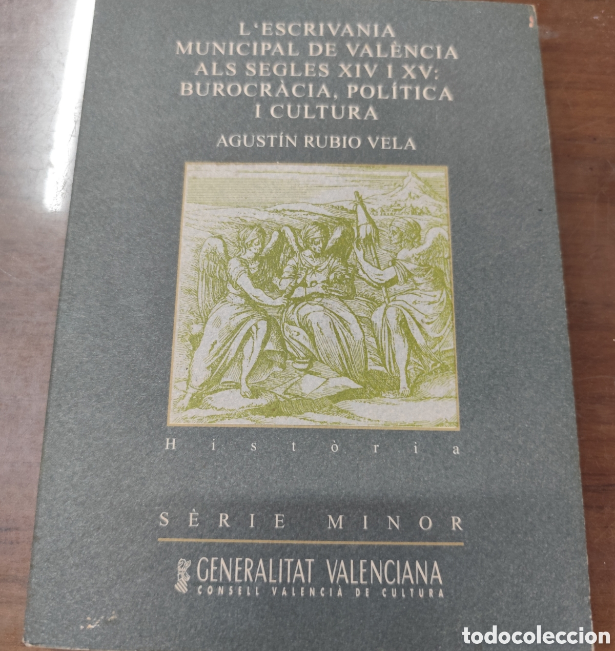 Libri di seconda mano: L ESCRIVANIA MUNICIPAL DE VALENCIA ALS SEGLES XIV I XV. Burocr&aacute;cia,pol&iacute;tica i cultura. Serie Minor -
