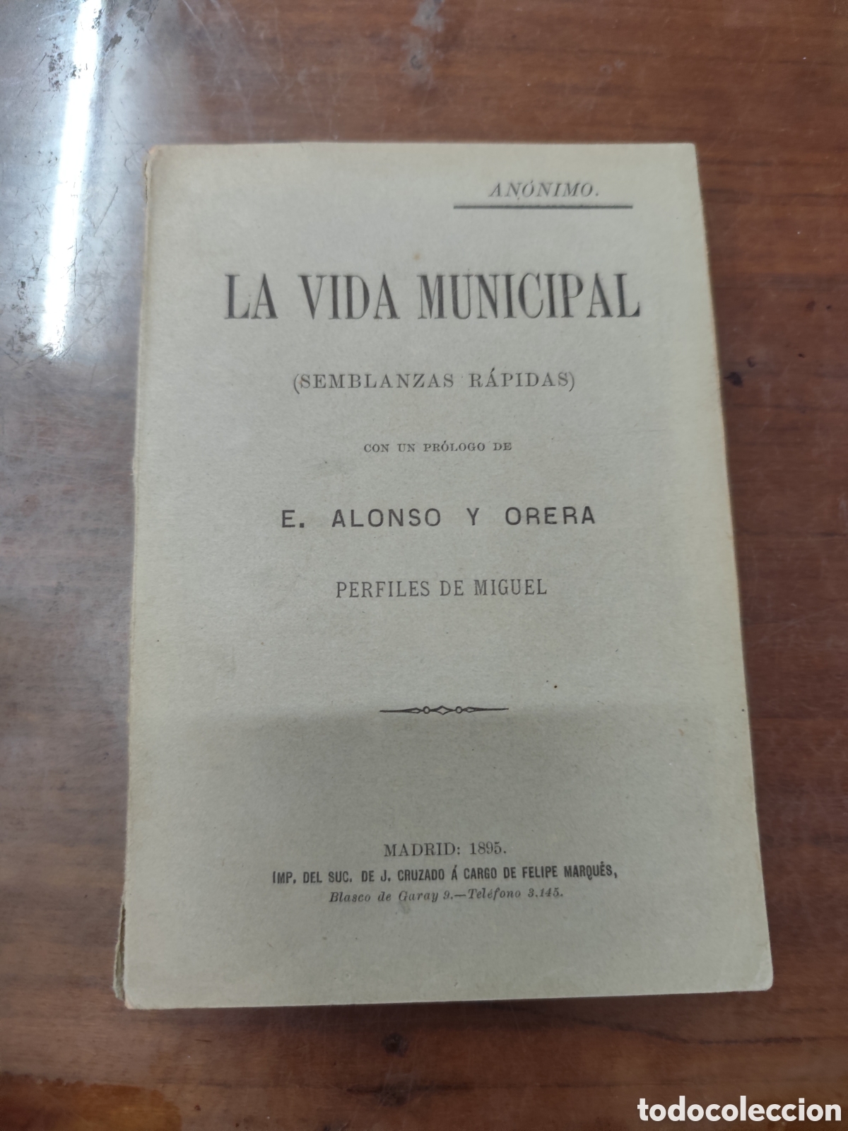 Libri di seconda mano: LA VIDA MUNICIPAL. Semblanzas r&aacute;pidas. A&ntilde;o 1895 - ANONIMO