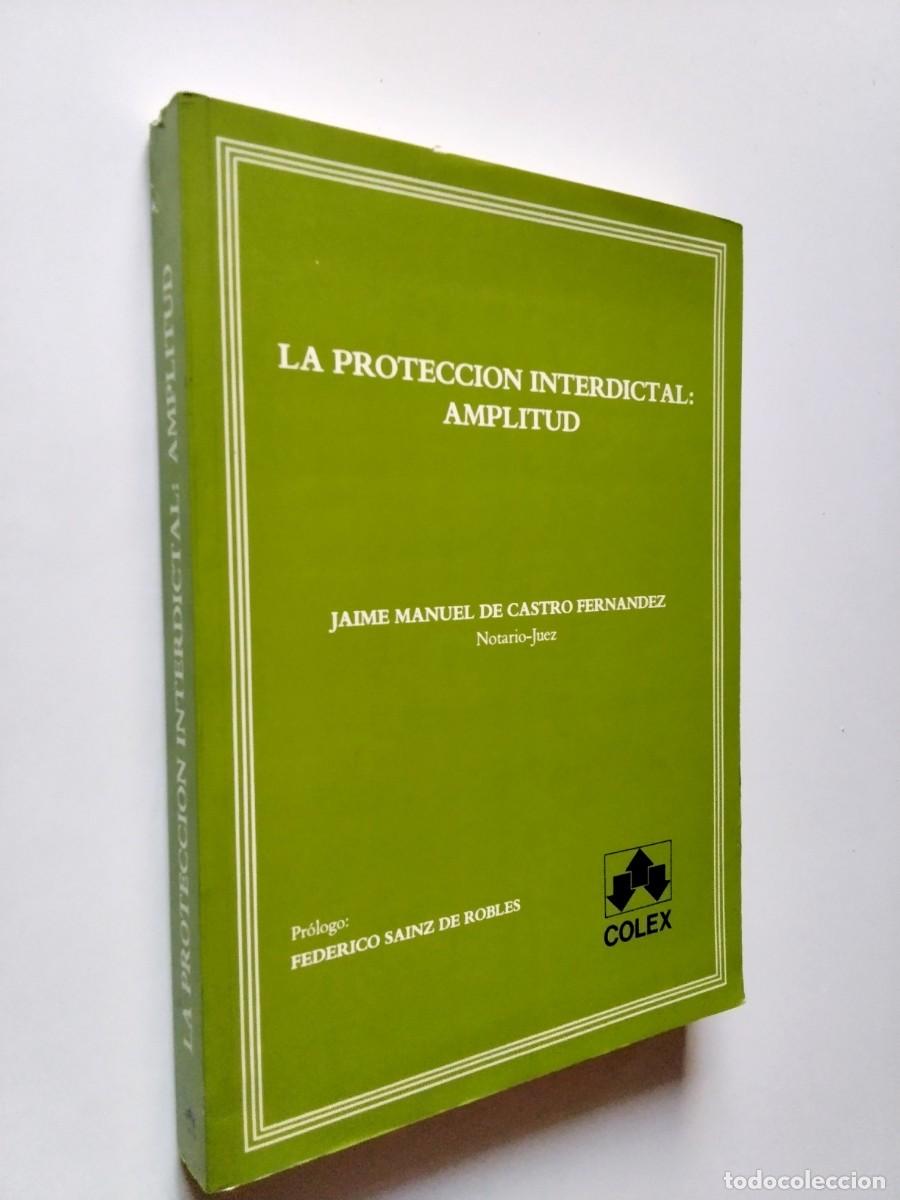 Libros: Jaime Manuel de Castro Fern&aacute;ndez - La protecci&oacute;n interdictal: amplitud
