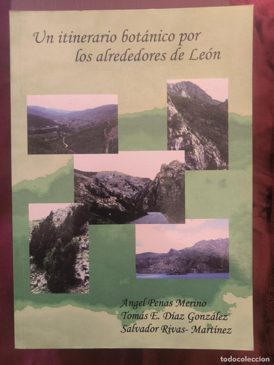Libros: Un itinerario bot&aacute;nico por los alrededores de Le&oacute;n. - &Aacute;ngel Penas Merino, Salvador Rivas Mart&iacute;nez