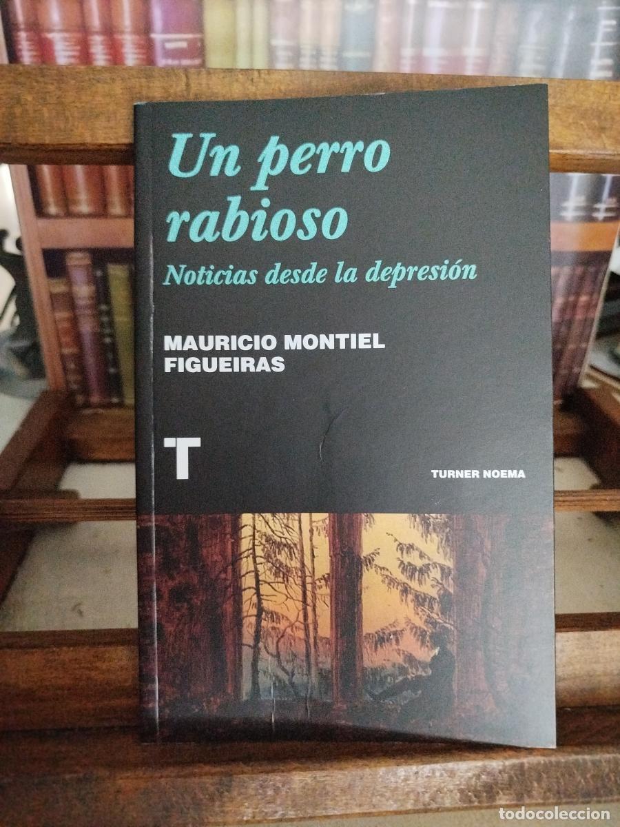 Livros em segunda m&atilde;o: Un perro rabioso : noticias desde la depresi&oacute;n - Montiel Figueiras, Mauricio