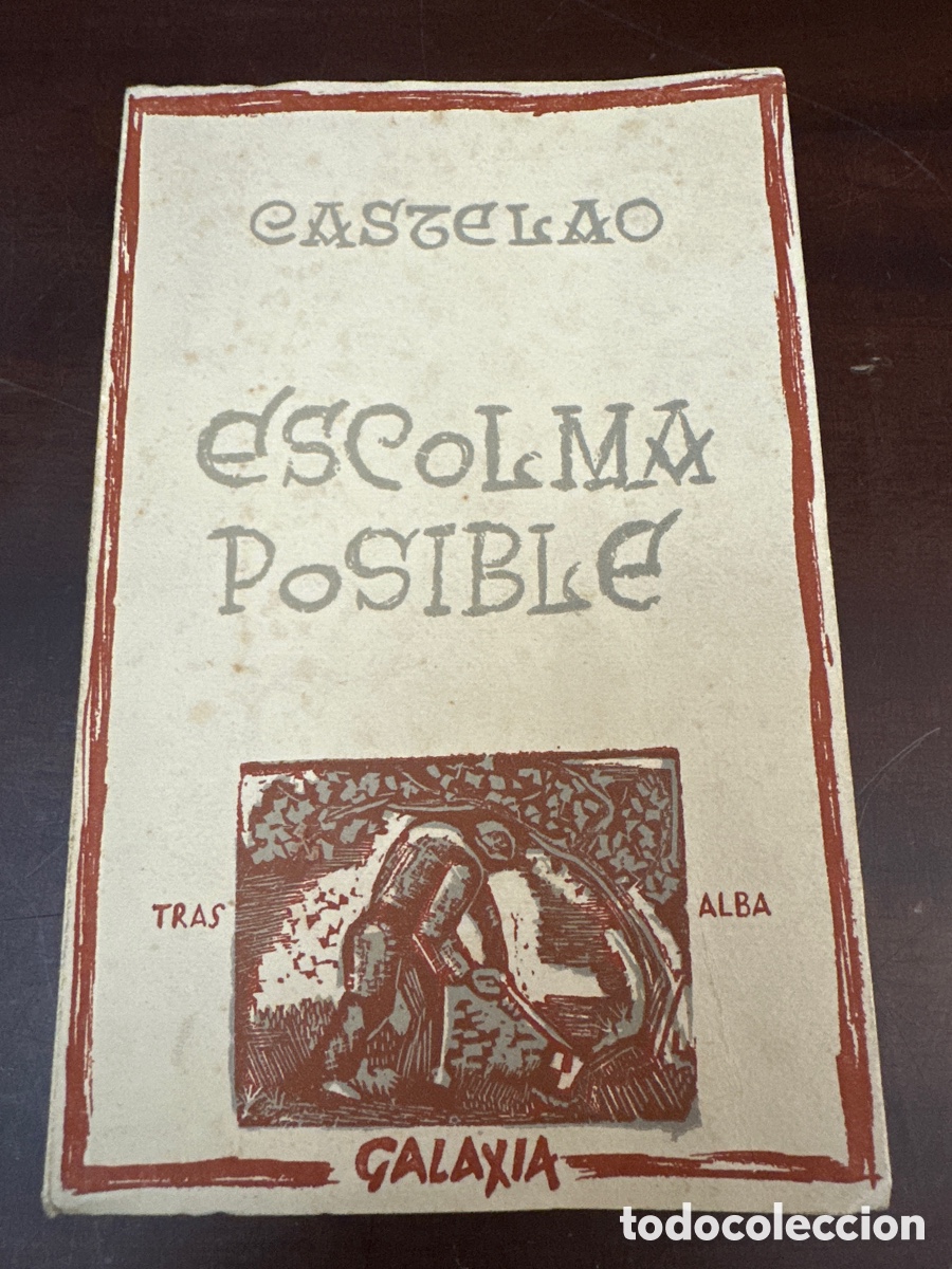 Libros: CASTELAO. ESCOLMA POSIBLE. PROLOGO MARINO DONEGA. ILUSTRADO. ED. GALAXIA VIGO 1964. GALICIA.