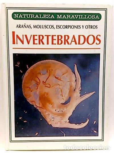 Livres: Invertebrados- 9788441000315