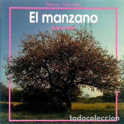 Libros: El manzano- 9788423626595