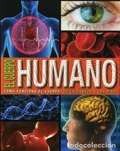 books: El Cuerpo Humano- 9781474816779
