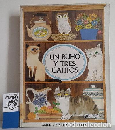 Libros: Un b&uacute;ho y tres gatitos- 9788401701542