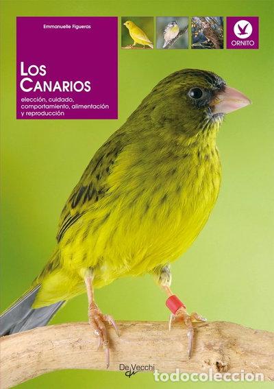 Livres: Los canarios- 9788431537043
