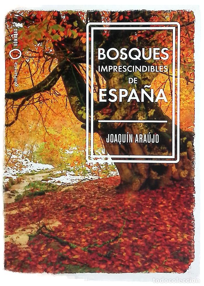 Libros: Bosques imprescindibles de Espa&ntilde;a