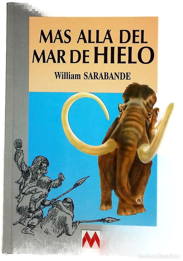 Libros: M&aacute;s all&aacute; del mar de hielo
