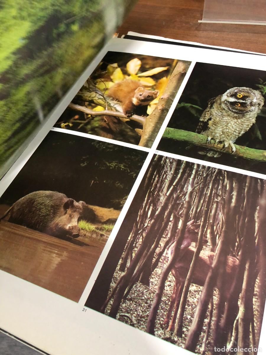 Libros: La Naturaleza Jaimes Libros - Foto 6