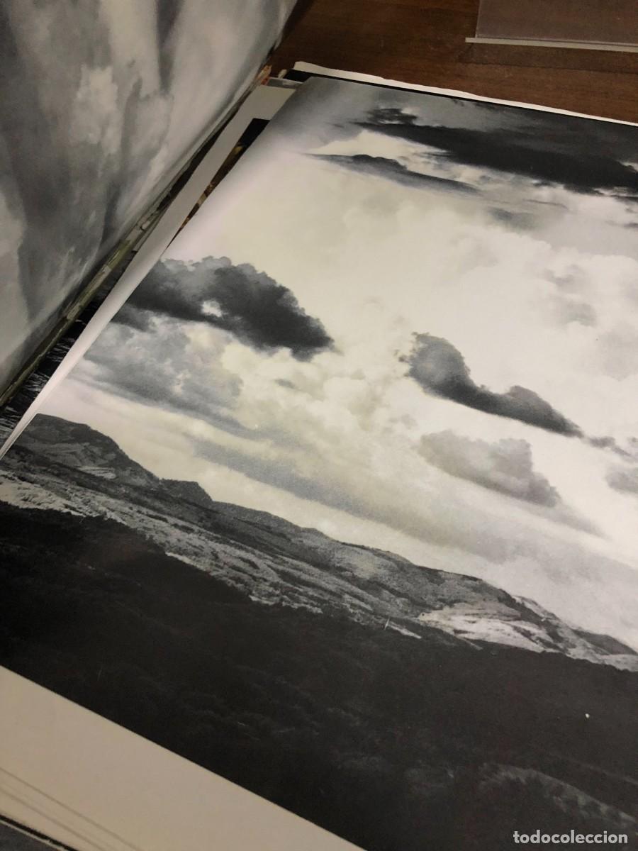 Libros: La Naturaleza Jaimes Libros - Foto 7