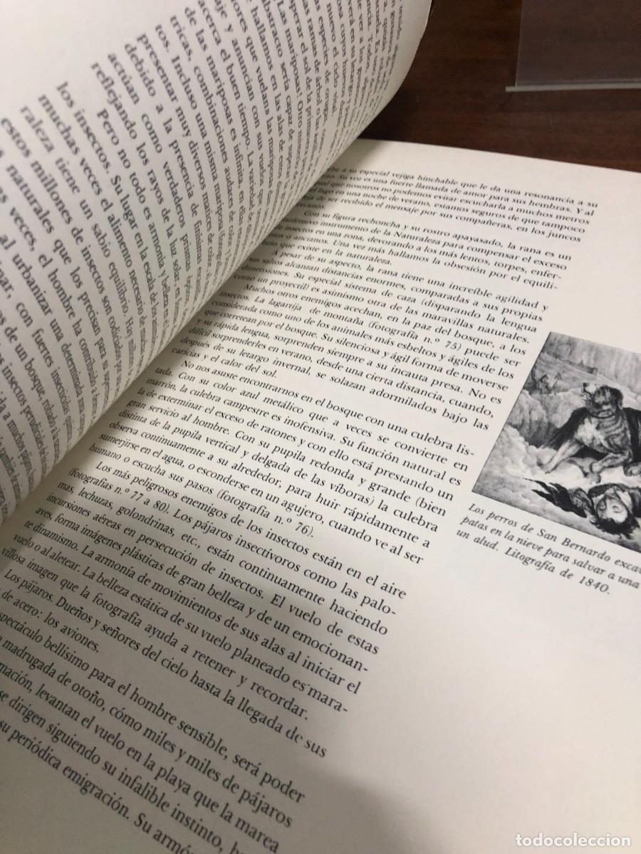 Libros: La Naturaleza Jaimes Libros - Foto 9