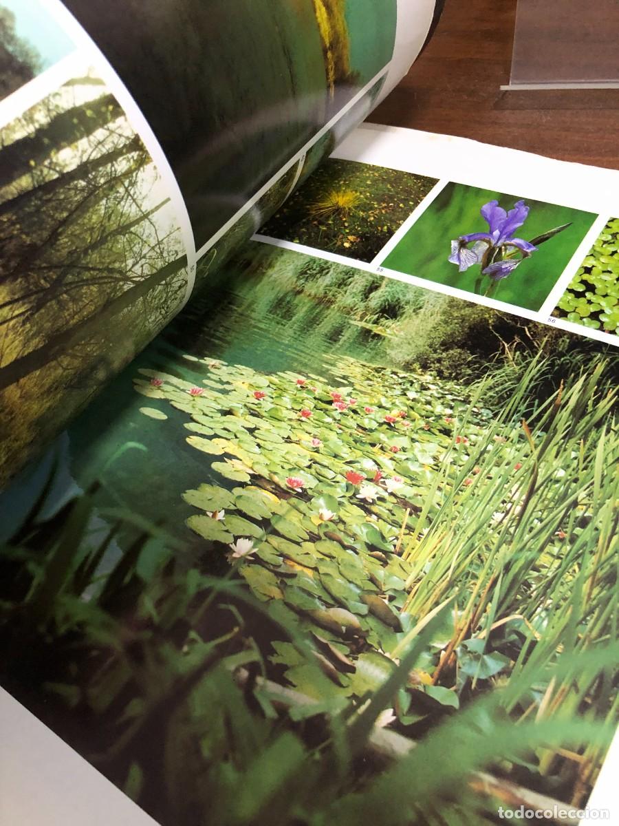 Libros: La Naturaleza Jaimes Libros - Foto 10