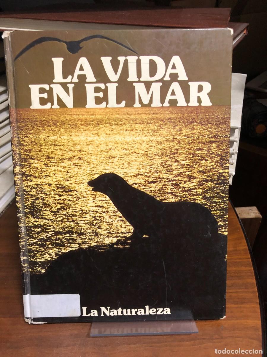 Libros: La vida en el mar Colecci&oacute;n La Naturaleza
