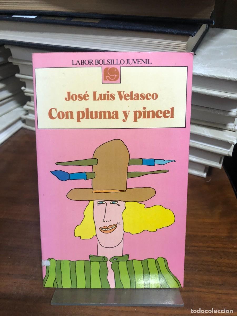 Libros: Con pluma y pincel Jos&eacute; Luis Velasco / Labor Bolsillo Juvenil