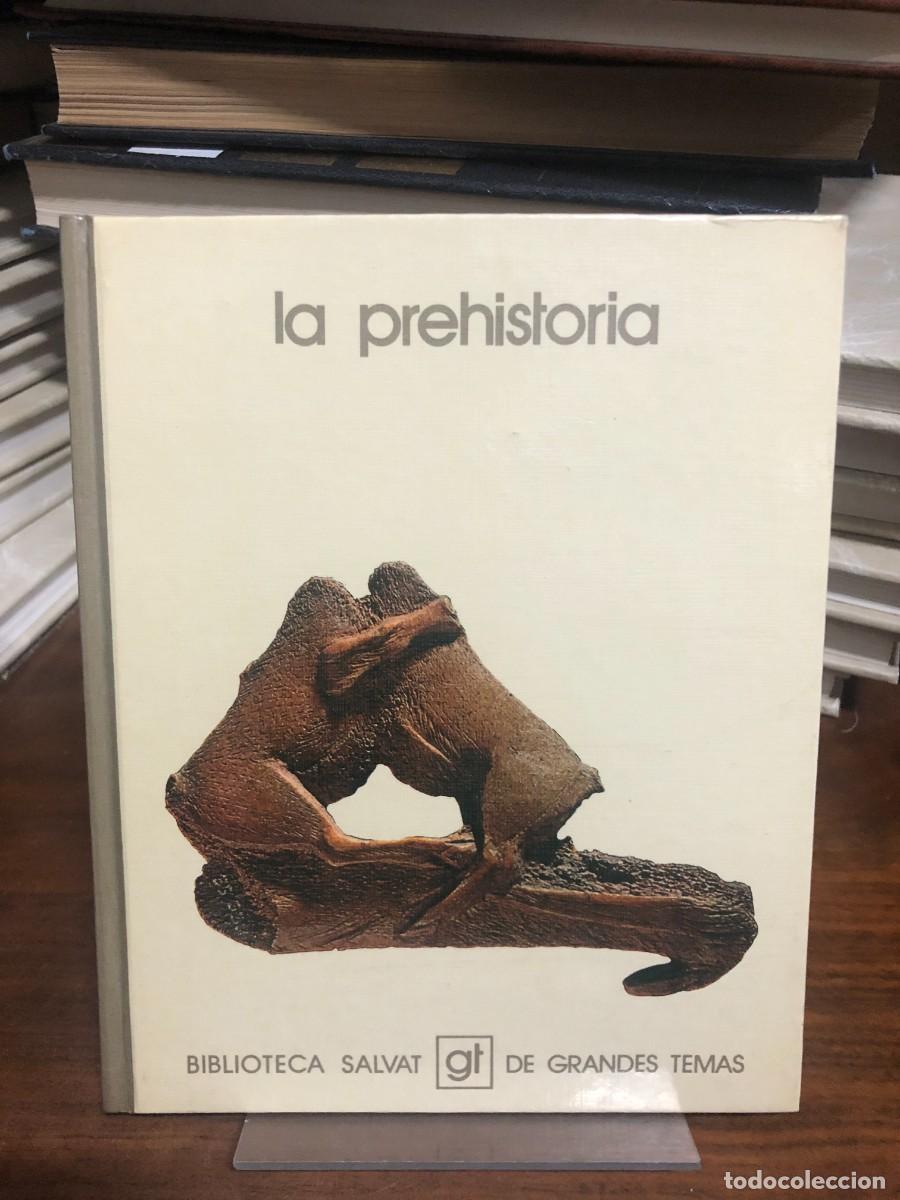 Libros: La prehistoria (Biblioteca Salvat de Grandes Temas)
