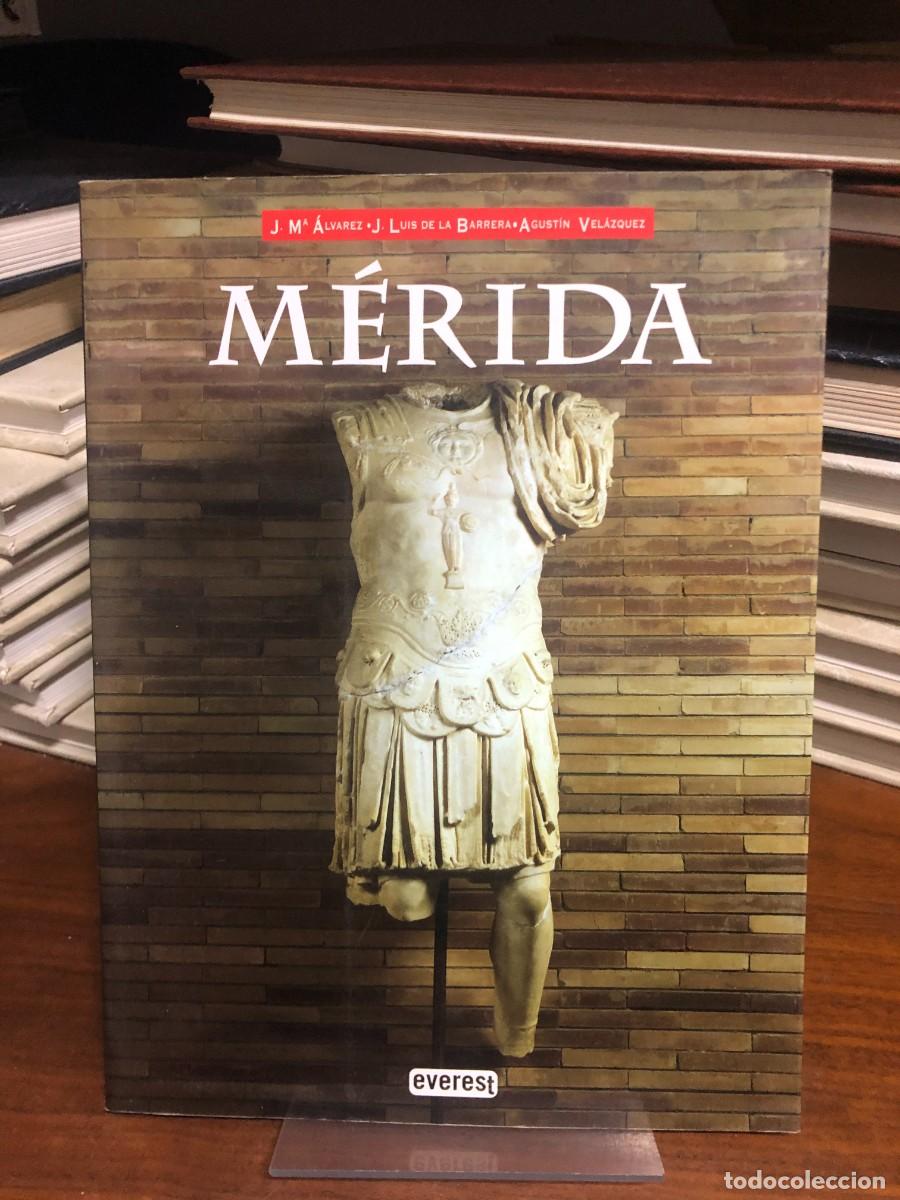 Libros: M&eacute;rida J. M&ordf; &Aacute;lvarez, J. Luis de la Barrera, Agust&iacute;n Vel&aacute;zquez / Editorial Everest