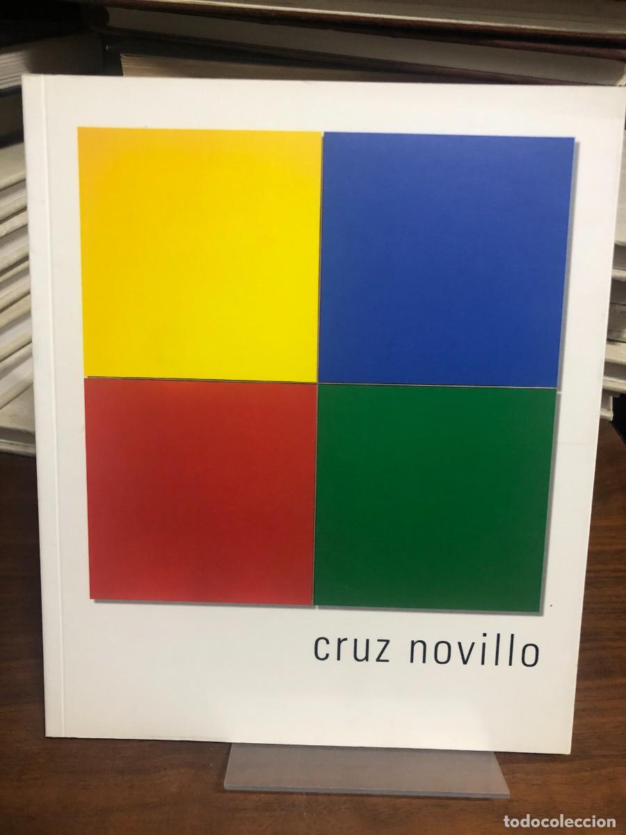 Libros: Cruz Novillo Cat&aacute;logo de exposici&oacute;n, Sala Luz&aacute;n (Zaragoza, 2003-2004) / Obra Social CAI
