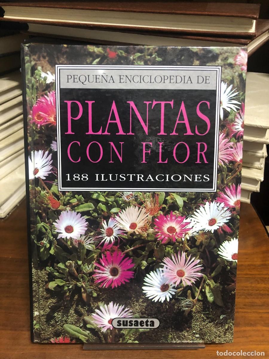 Libros: Peque&ntilde;a Enciclopedia de Plantas con Flor Editorial Susaeta