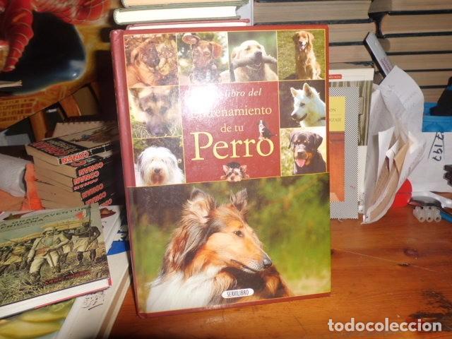 Libros: GRAN LIBRO DEL ENTRENAMIENTO DE TU PERRO - Foto 1