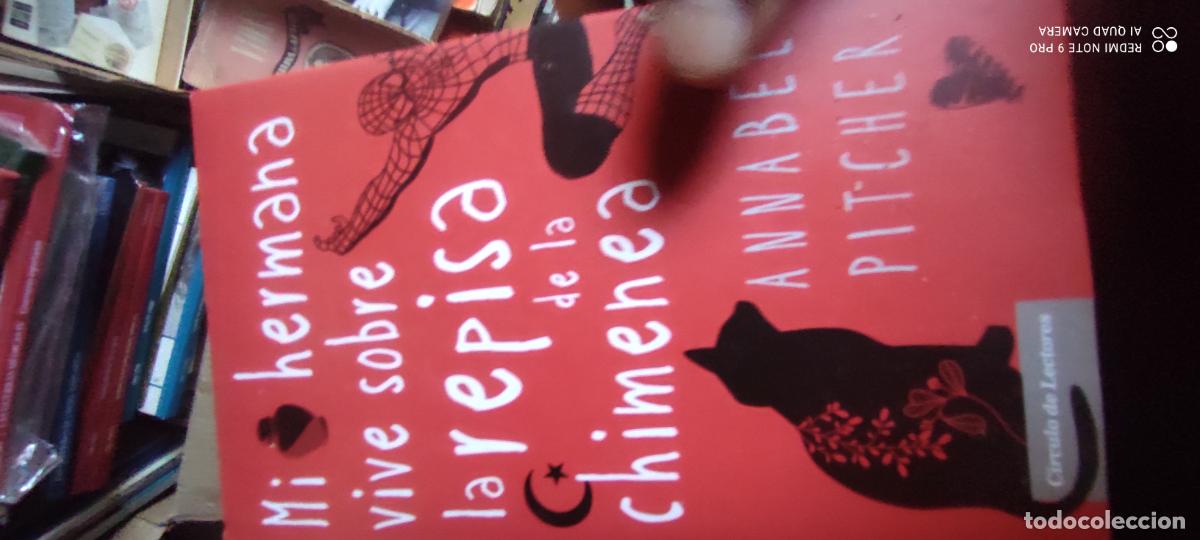 Libri di seconda mano: Mi hermana vive sobre la repisa de la chimenea. Annabel Pitcher