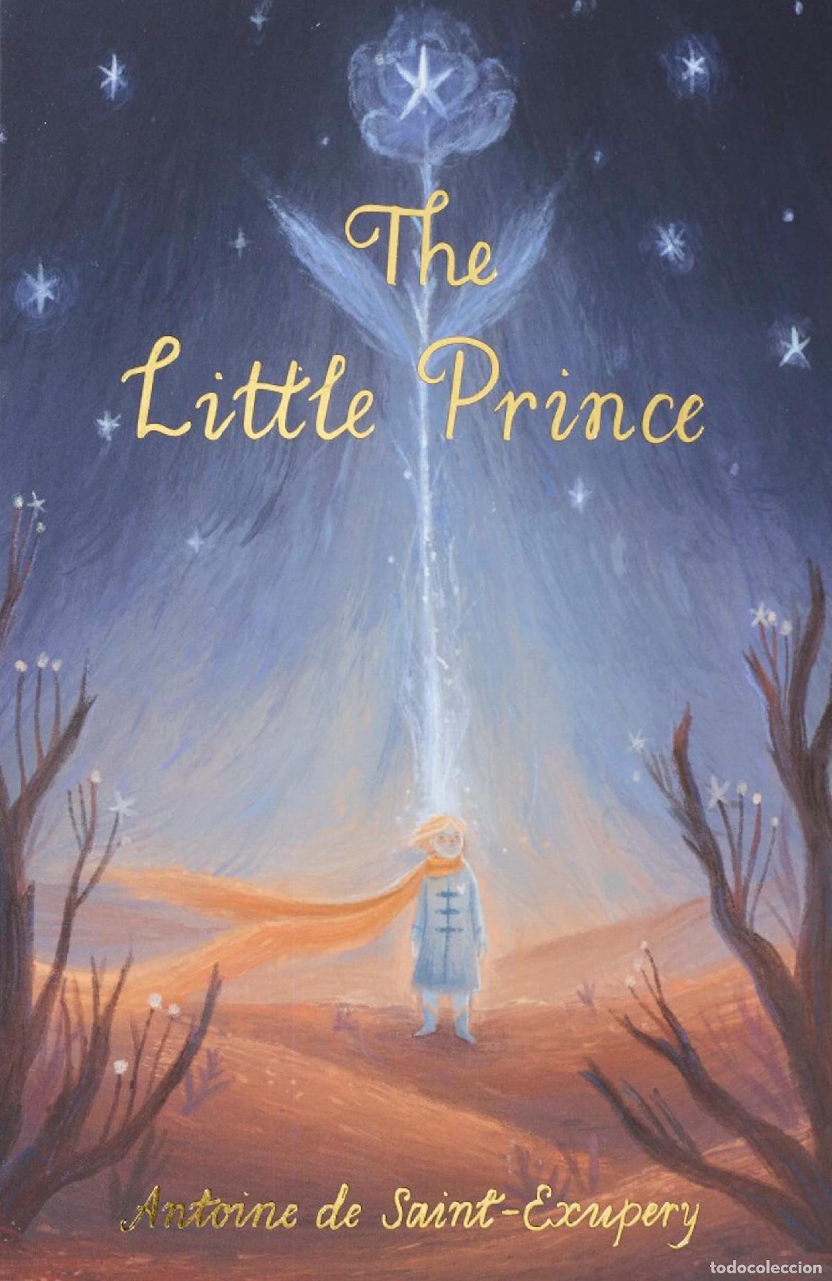 Libros: The Little Prince (Wordsworth Children's Classics)