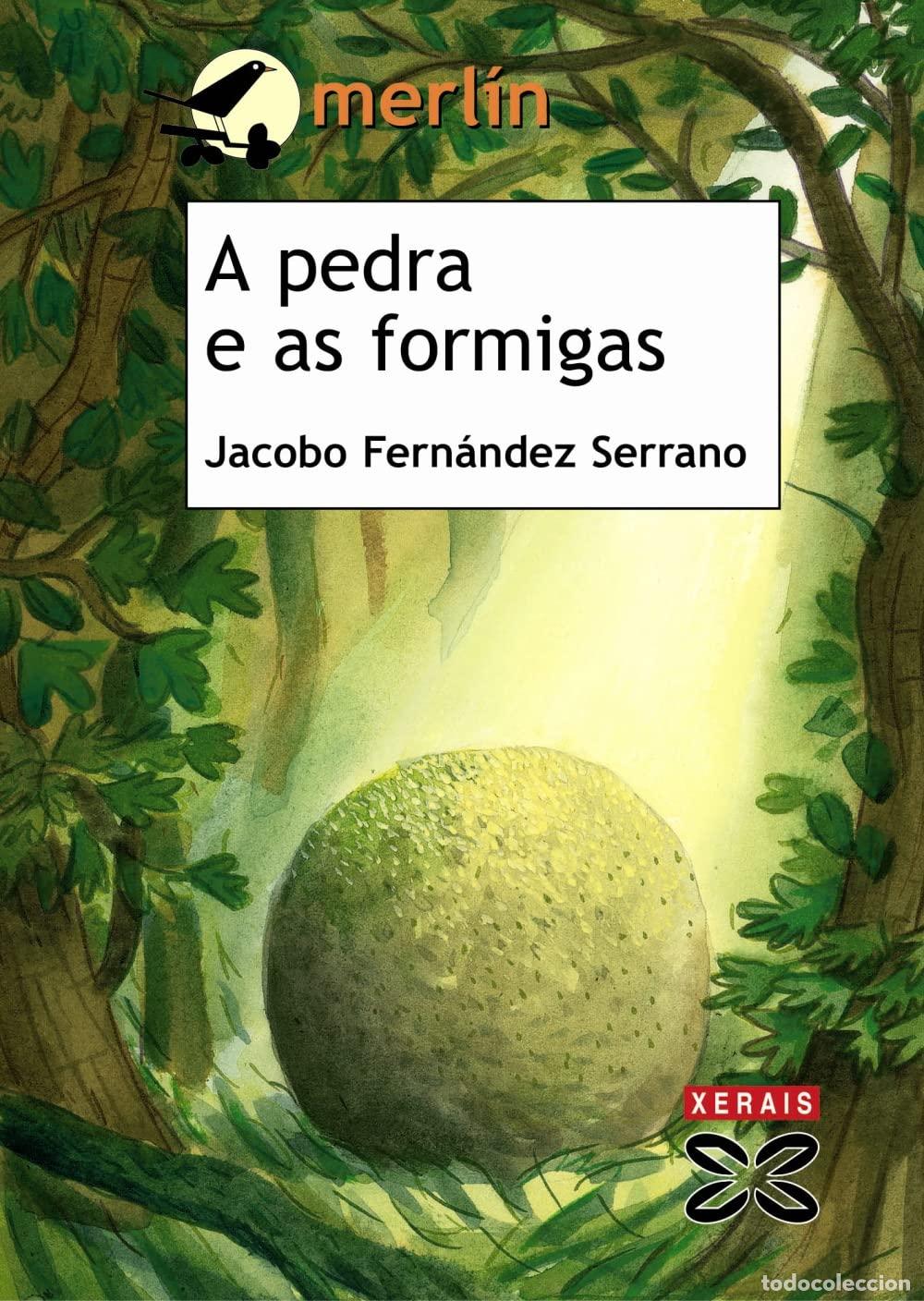 Libros: A pedra e as formigas (INFANTIL E XUVENIL - MERL&Iacute;N - De 7 anos en diante)