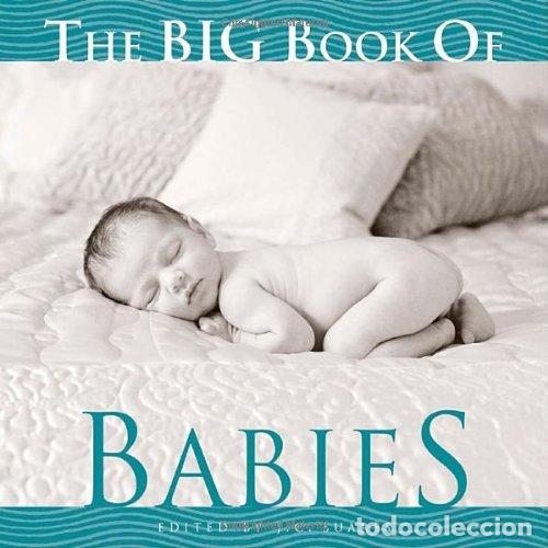 B&uuml;cher: The Big Book of Babies (Big Book of . . . (Welcome Books))