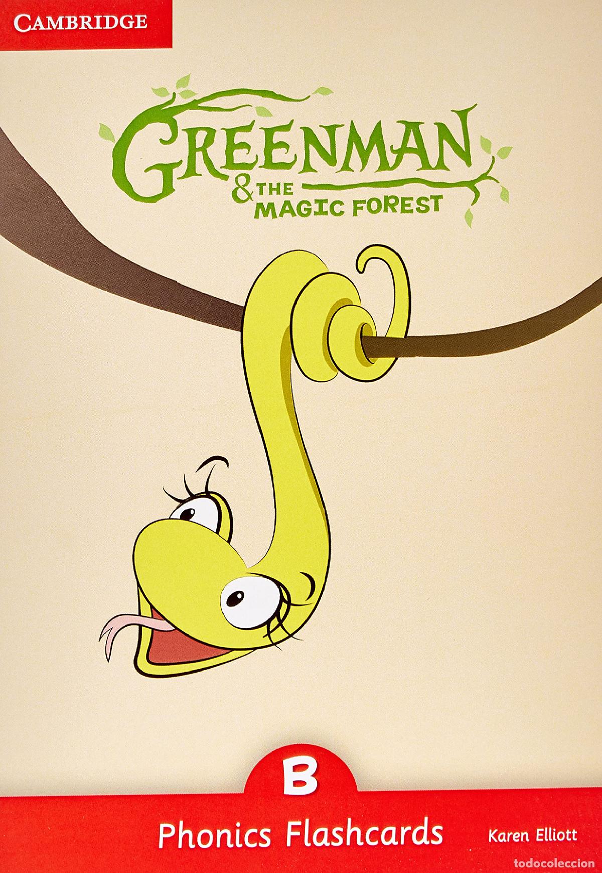 Libri di seconda mano: Greenman and the Magic Forest B Phonics Flashcards (Pack of 34) - 9788490368398