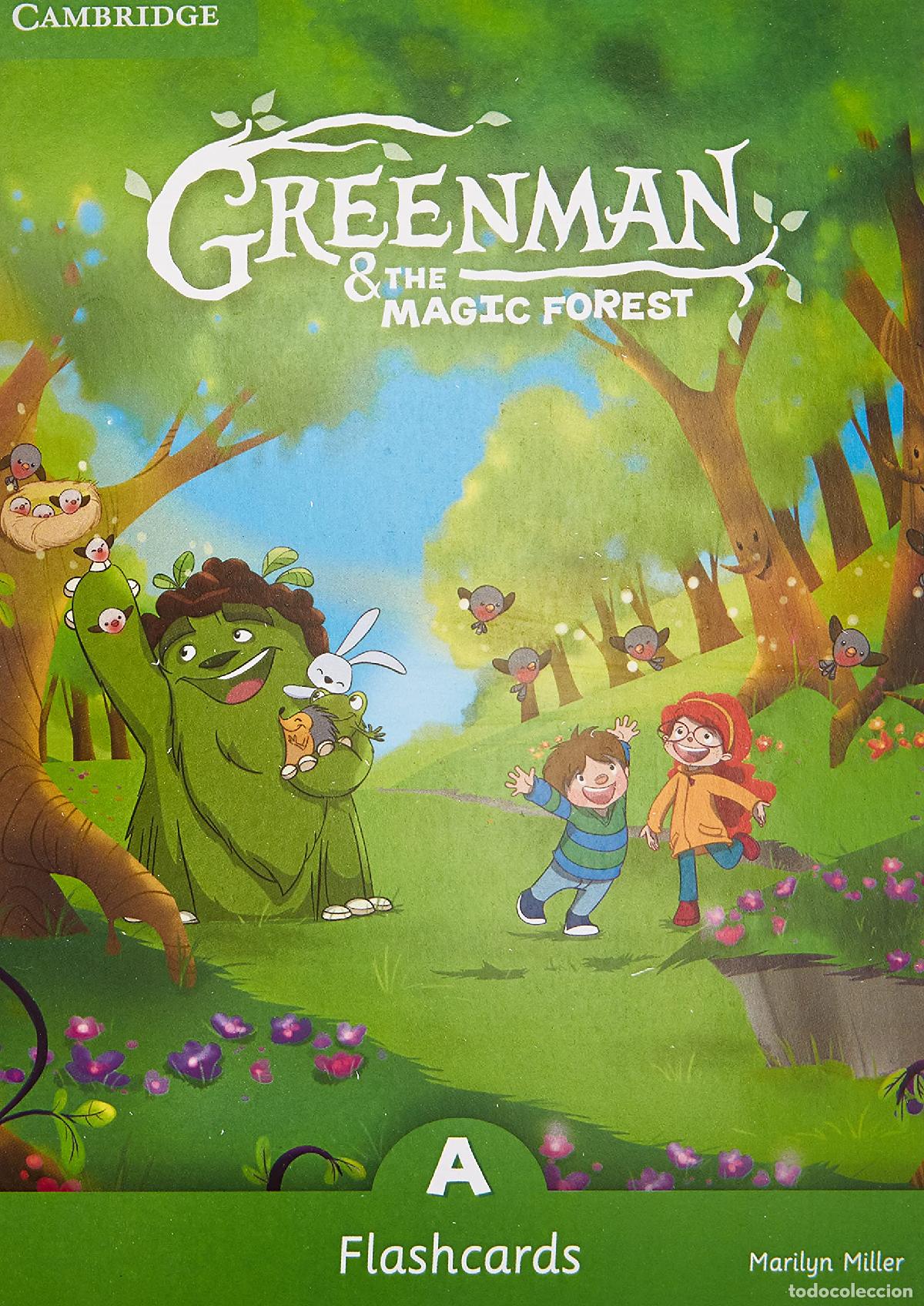 Libri di seconda mano: Greenman and the Magic Forest A Flashcards (Pack of 48) - 9788490368312