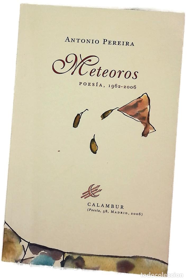 B&uuml;cher: Meteoros poes&iacute;a, 1962-2006