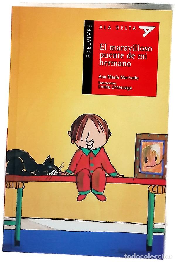 Libros: El maravilloso puente de mi hermano